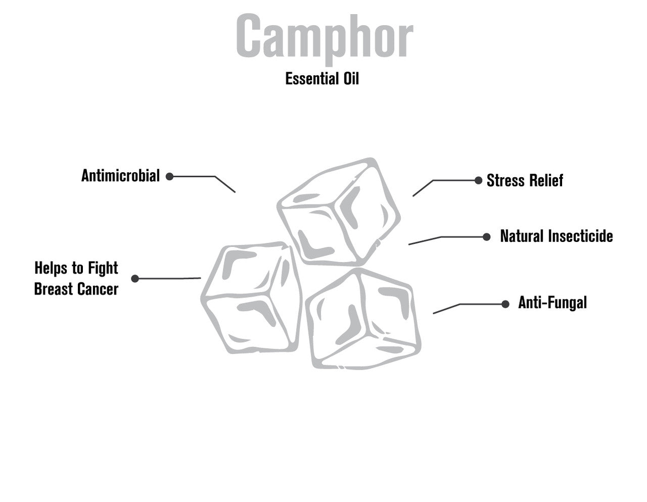 Camphor Essential Oil