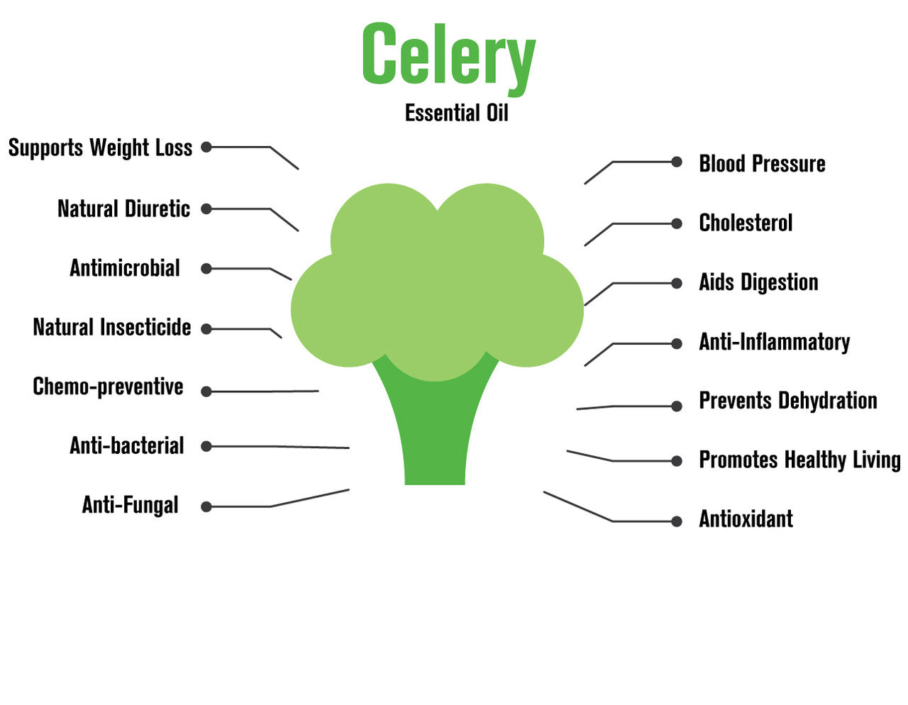 Celery Essential Oil