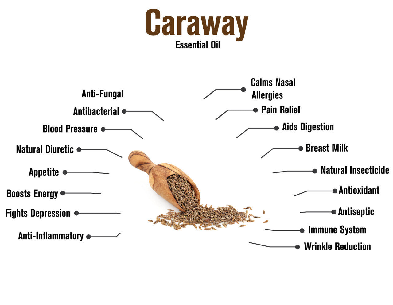 Caraway Essential Oil