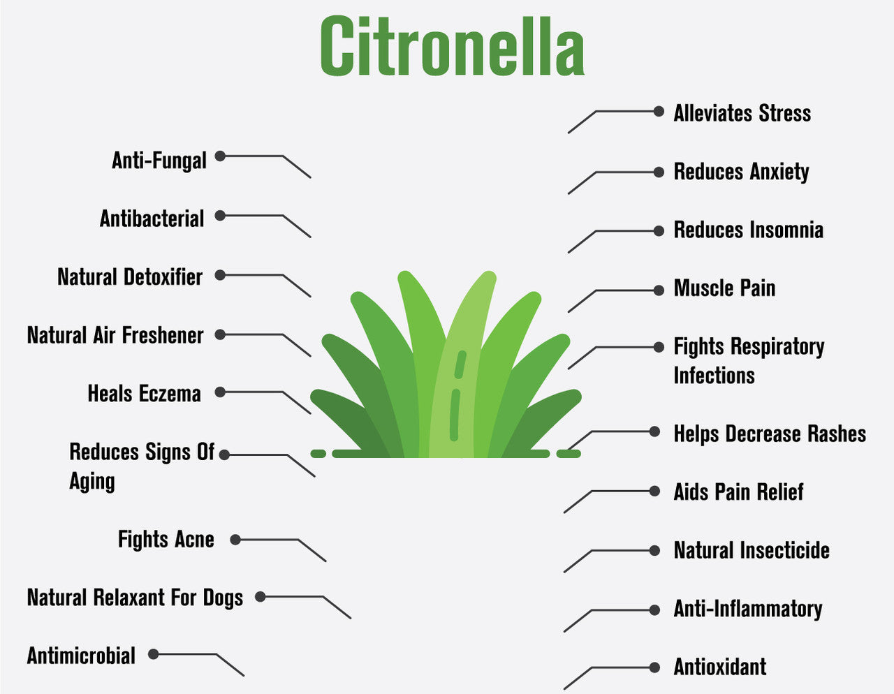 Citronella Essential Oil