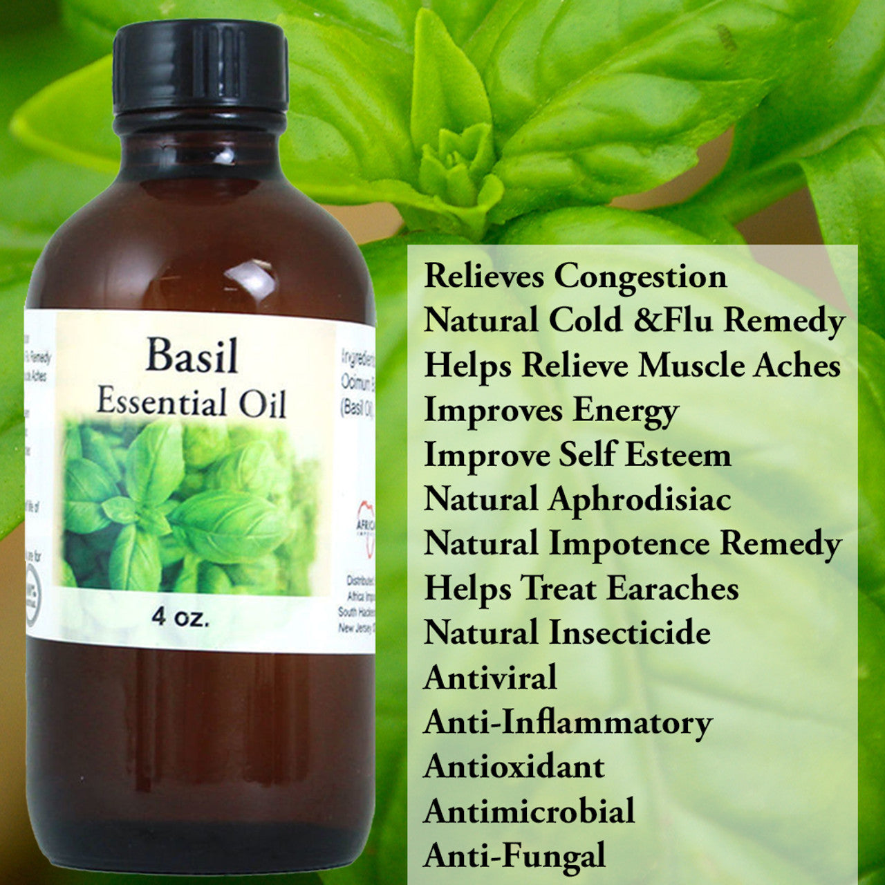 Basil Essential Oil