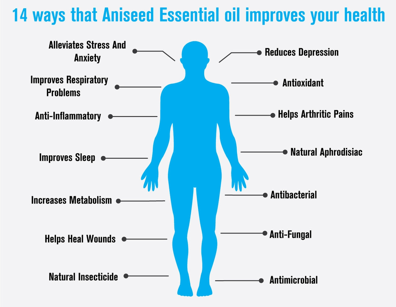 Aniseed Essential Oil