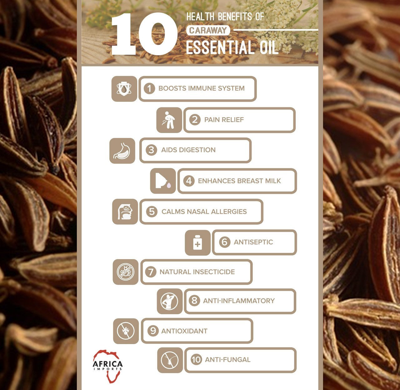 Cinnamon Leaf Essential Oil