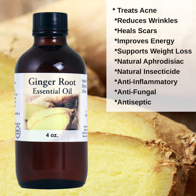 Ginger Root Essential Oil