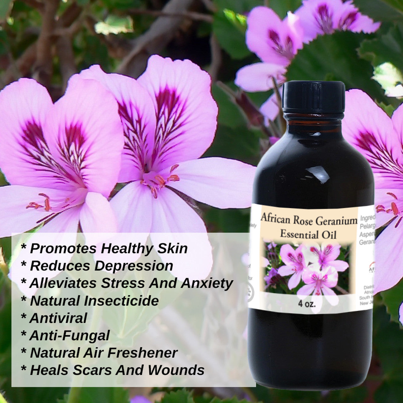 African Rose Geranium Essential Oil